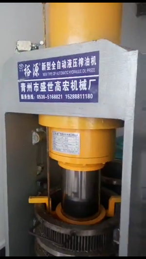 全自動(dòng)液壓榨油機(jī)